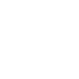 Dreamic FPTU Hanoi 2024